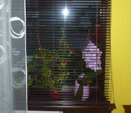 Wooden Venetian Blinds