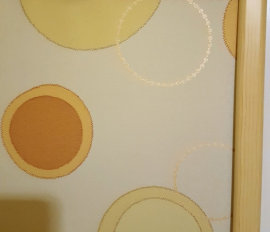 Cassette Roller Blinds