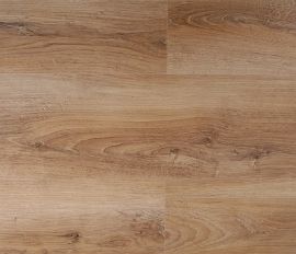 Modern - Modern Strong - Edinburgh Oak
