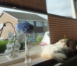 Pleated Fabric Blinds